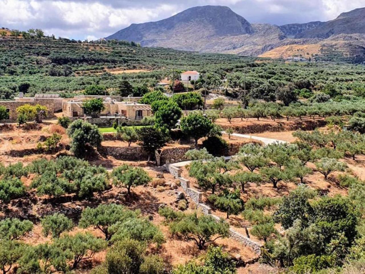 Petrakis Cretan Homes Киссамос Экстерьер фото
