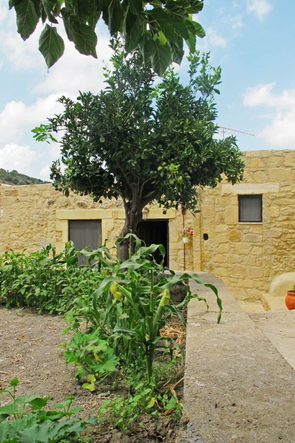 Petrakis Cretan Homes Киссамос Экстерьер фото