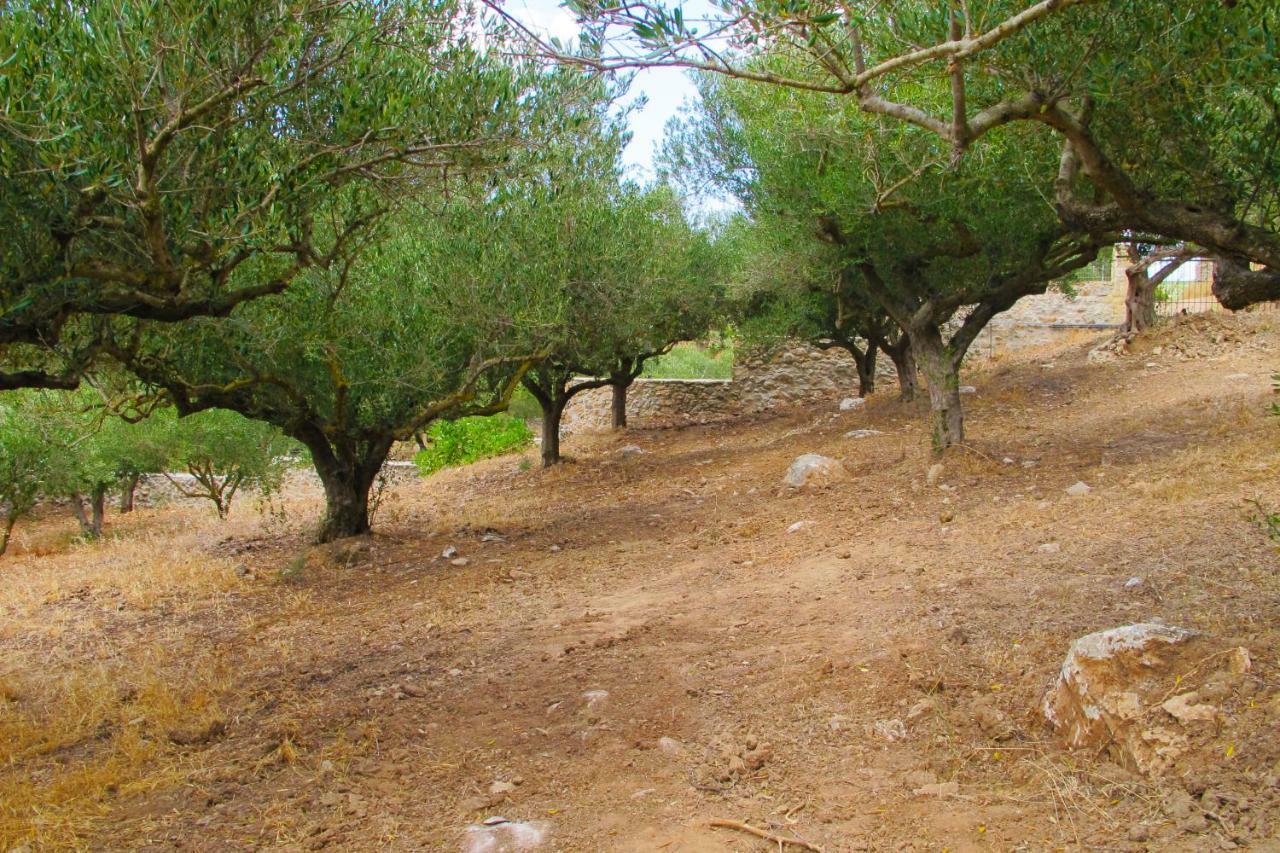 Petrakis Cretan Homes Киссамос Экстерьер фото
