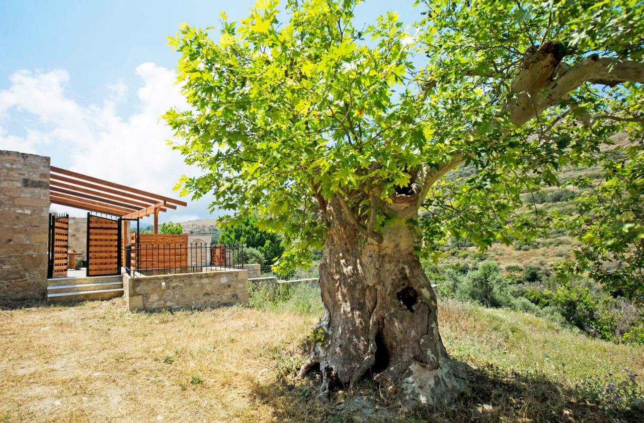 Petrakis Cretan Homes Киссамос Экстерьер фото
